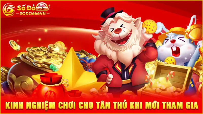 Kinh nghiệm chơi cho tân thủ khi mới tham gia